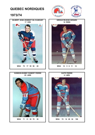 WHA que 1973-74 foto hracu4