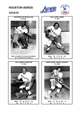 WHA hou 1974-75 foto hracu1