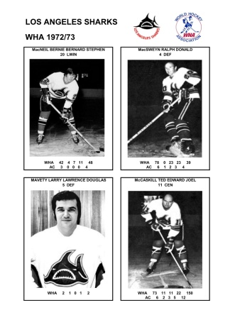 WHA las 1972-73 foto hracu4