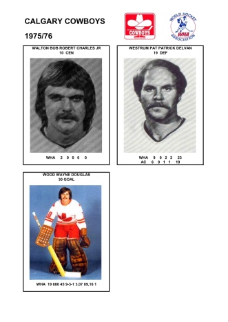 WHA cgyc 1975-76 foto hracu10